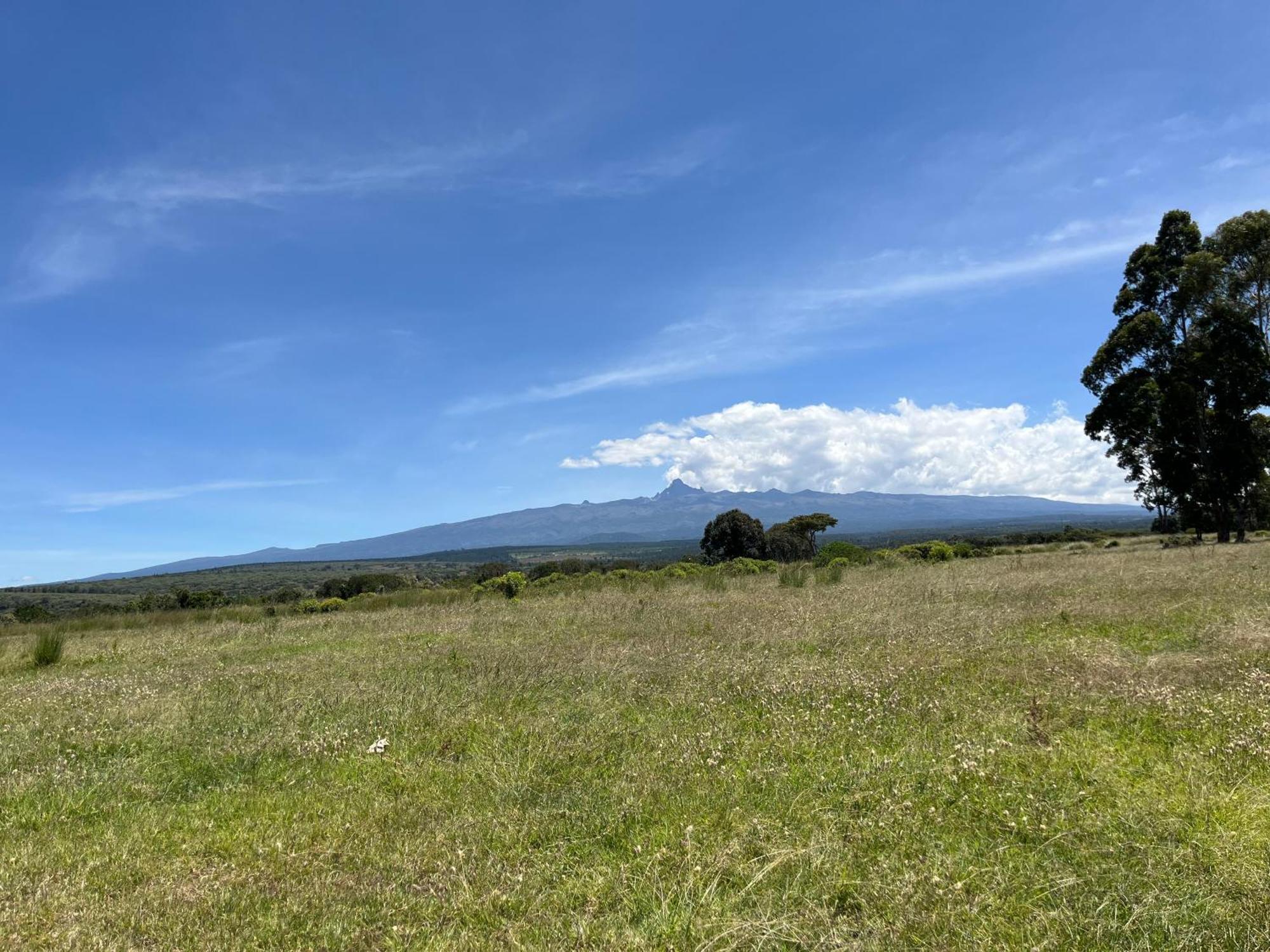 Rafiki House Hotel Nanyuki Kültér fotó